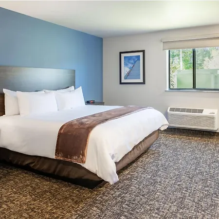 My Place Hotel-Jacksonville-Camp Lejeune, Nc Esterno foto